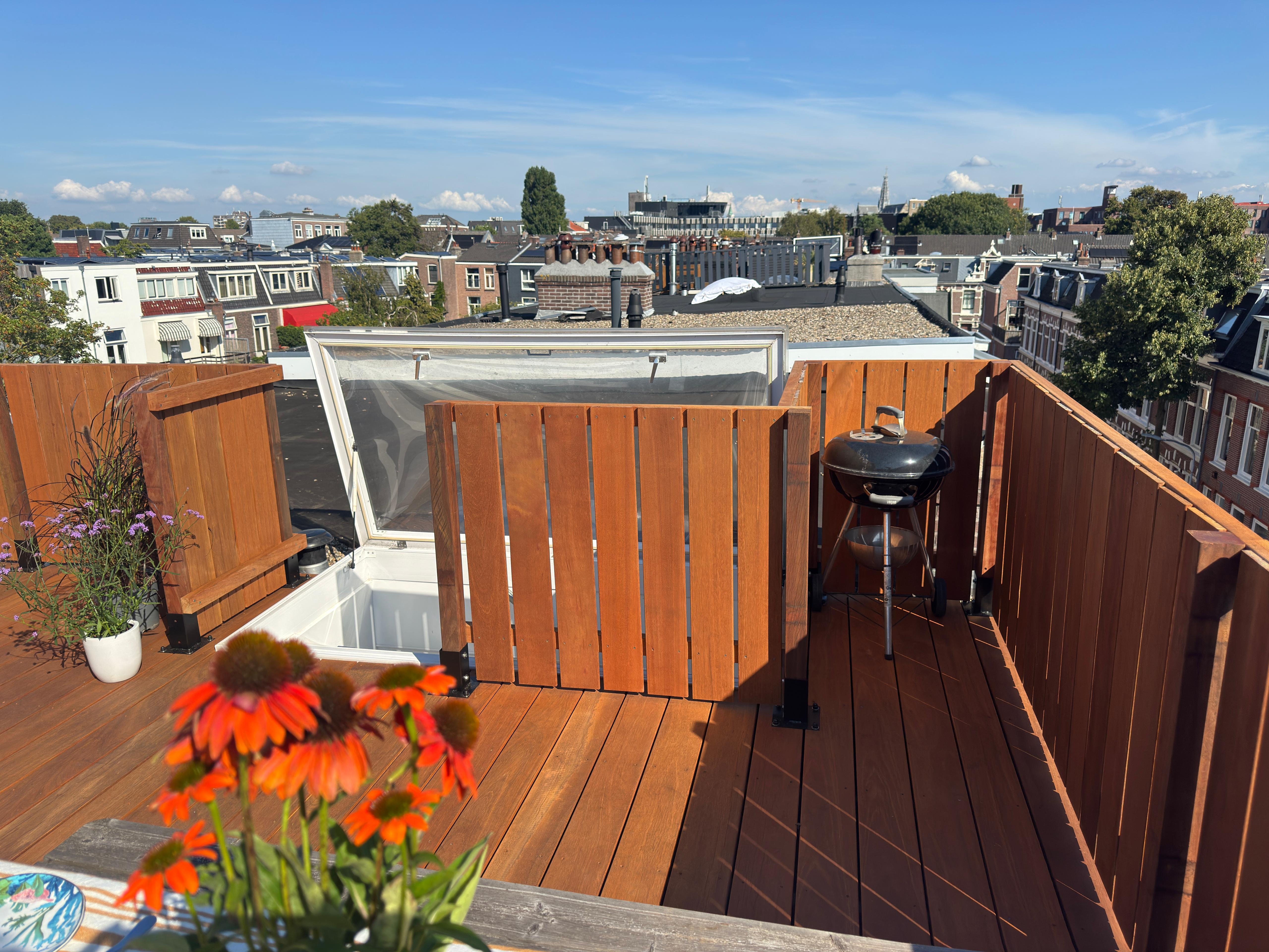 Dakterras met hekwerk Haarlem